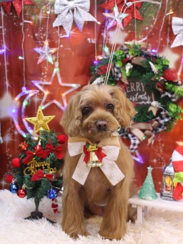 20231207紋之助くん